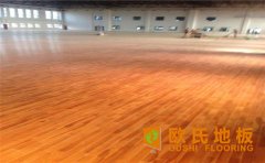家里建個籃球場，如何設(shè)計