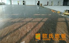 怎么選專業(yè)的運(yùn)動(dòng)木地板