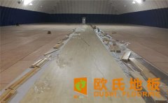 運動木地板如何選購？