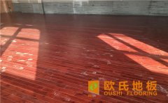 體育木地板專業(yè)功能是什么？