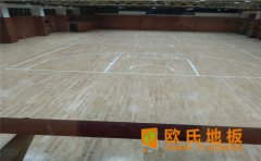 四川室內(nèi)排球館木地板多少錢？