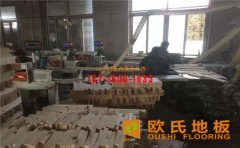 籃球場木地板價格是多少？
